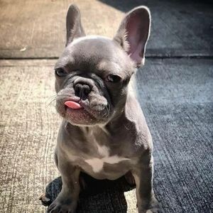 Meet your Posher, Christy